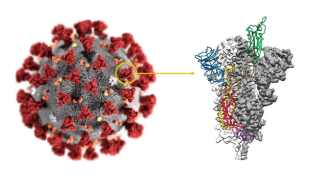 RFID冷链追溯助力疫情防抗
